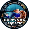 guppynalaquatic29