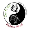 Zenkivet