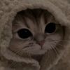 ameera2428