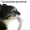 miasoledads