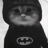 ariaawjy