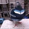 znky0