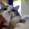 nanajjjaemin