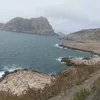 elaidatmani8