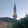 halalfinik