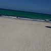 marwashaban866
