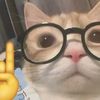 el.gato.intelectual