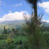 karung_ghoni8791