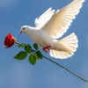 user5630922184767