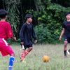 apis_ajahhhh