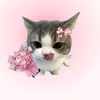 pingaa_29