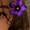 hala__syr1