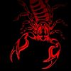 userl11y2qdbir