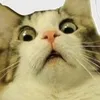 ajtphjnultqaj