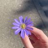 dryasminmohamed2