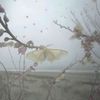 _quiet_h3art_