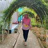 Rosediana