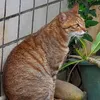 samtsao2000