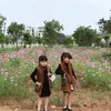 linhda356