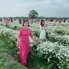 userydiikwalk2