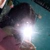 abigaill549