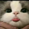 nhchnghi