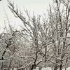 01_hekim