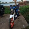 musangekorsembilan9