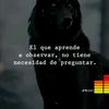 marymartinez4407