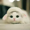 user7n0fbk4dtj