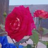 userw6gp333v82