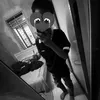 doinhuucac0
