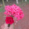 richaislam63
