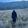 jolebo_hnp