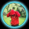 rk.nabin5