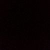 allp365