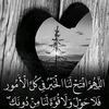 userelycheikhtegdy1
