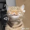 mo.thch58