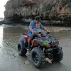 budiwiyonowiyono4