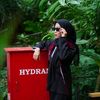 irsan