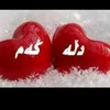 salrkurdesh