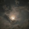 rull030108
