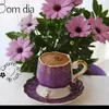 mariaantonia66902