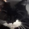 donnie.1.2.3