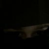 _.dxxdy._43