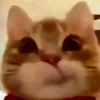 🫀