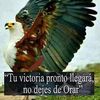 ismael12019
