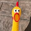 Rubber chicken