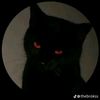 bruno_777f