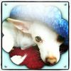wendy_4691